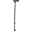 Baston/medical 929L metalic
