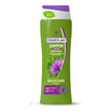 Viorica Cosmeplant Sampon Brusture + Conditioner 400ml