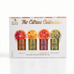 Relaxa Ulei Eteric Set Citrus Collection (portocală, lămâie, grapefruit, bergamota) 15mlx4