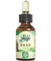 Magic Spa ulei Brad 20 ml
