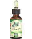 Magic Spa ulei Eucalipt 20ml