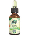 Ulei eteric natural "Magic SPA" Cedru 20ml