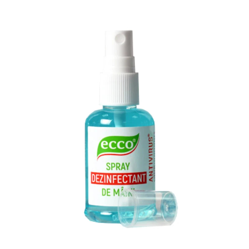 Ecco Antiseptic (дезинфицирующее средство) спрей для рук 100ml