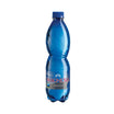 Apă minerală Magnesia plata 0.5L